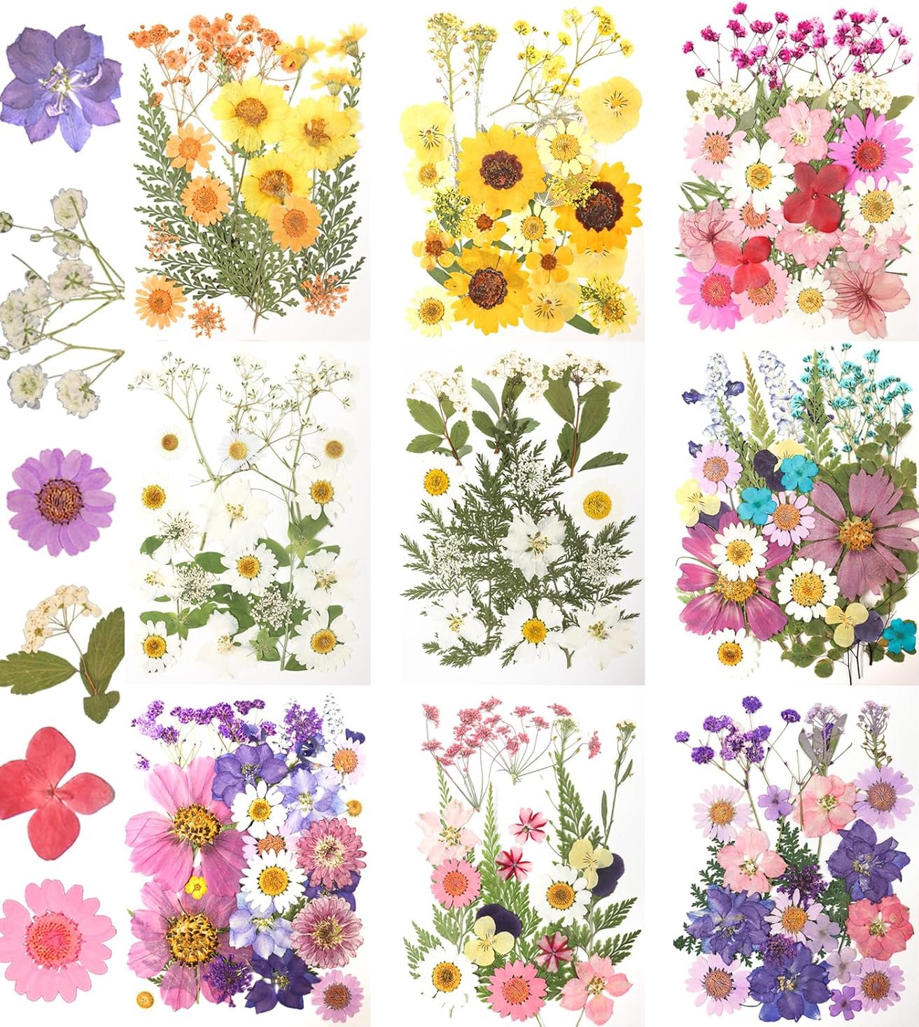 Dried Pressed Flowers