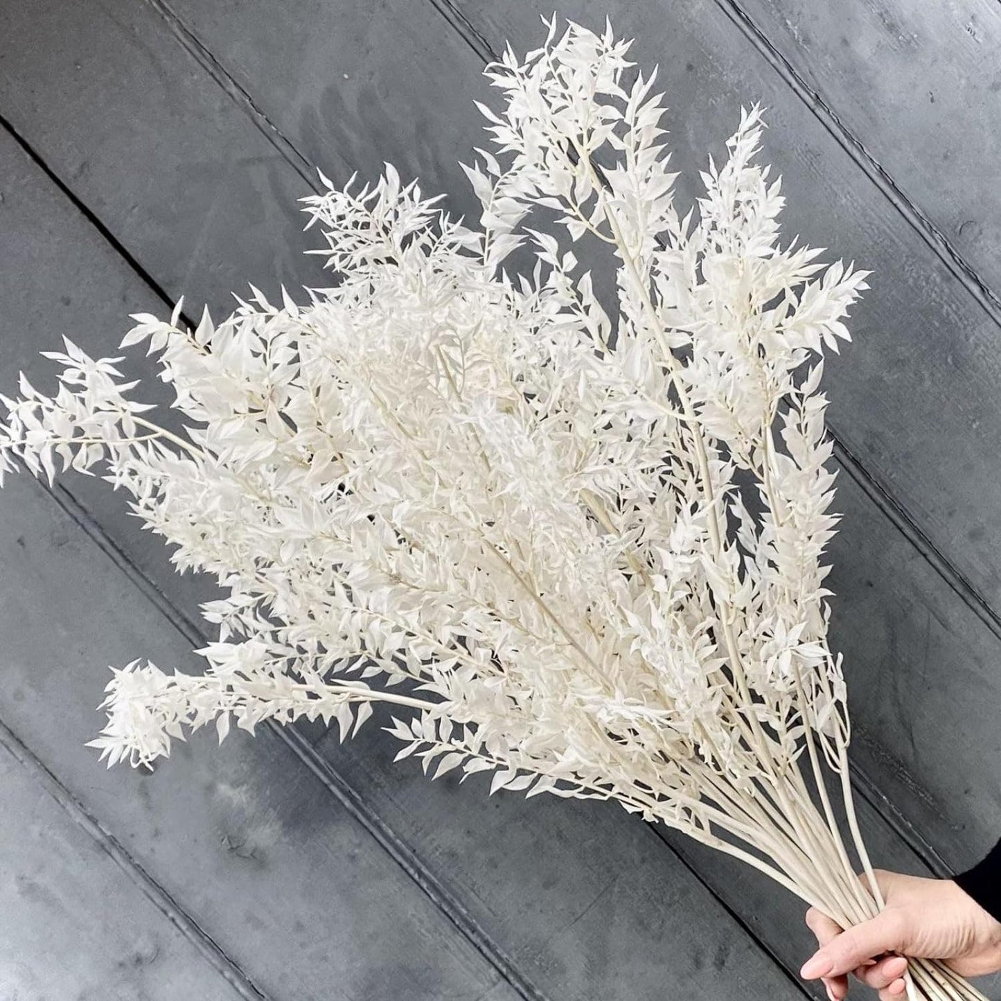 Dry Italian Eucalyptus Boho Flowers (1)