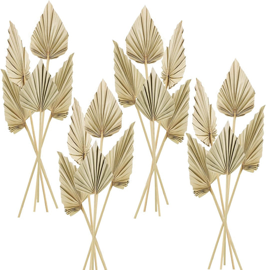 Dried Palm Spears Boho Flowers (1)