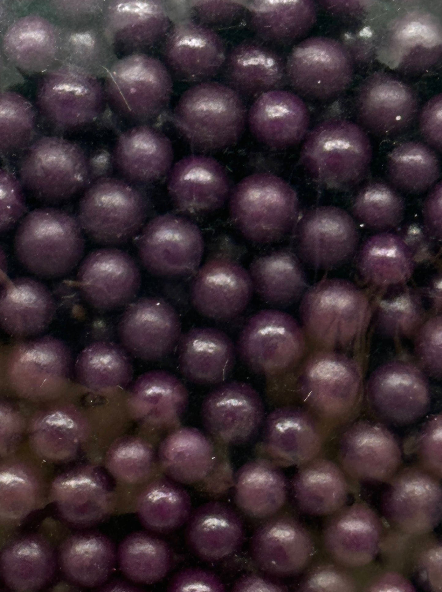 Purple Sprinkles Medium