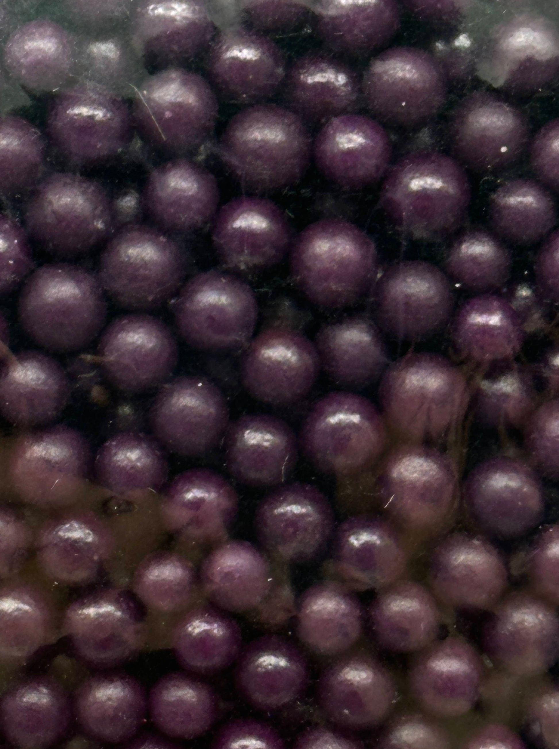 Purple Sprinkles Medium