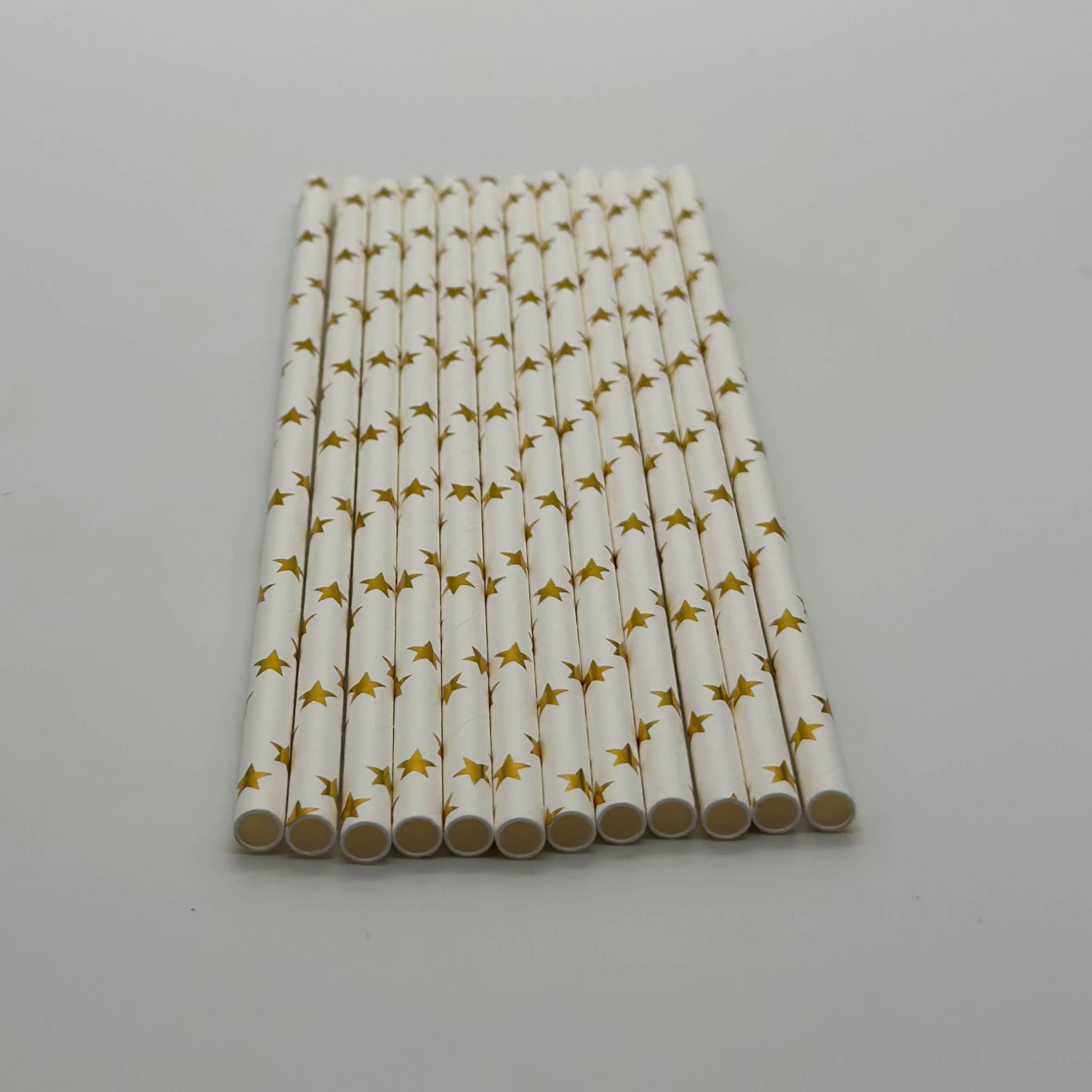 Paper Straw White Gold Star Set of 13