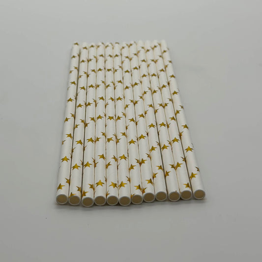 Paper Straw White Gold Star Set of 13