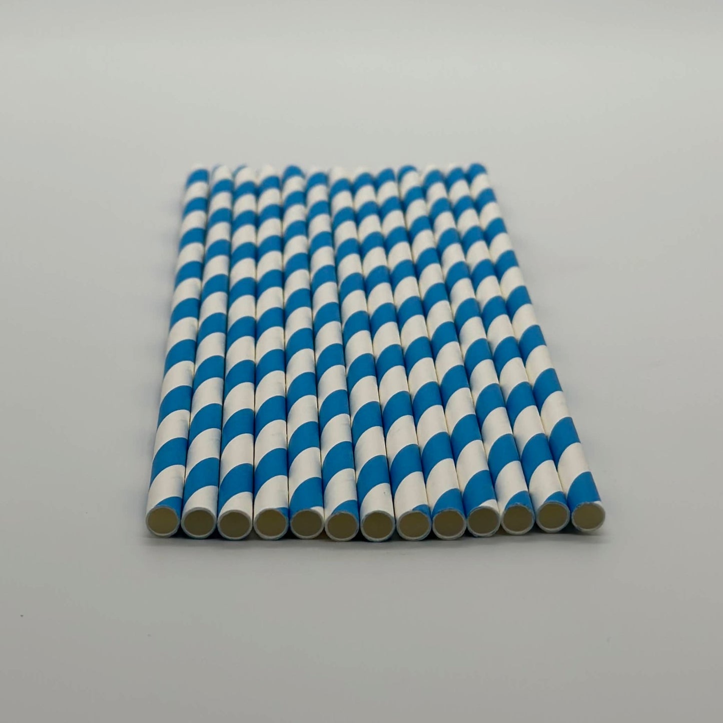 Paper Straw White and Blue Set of 13