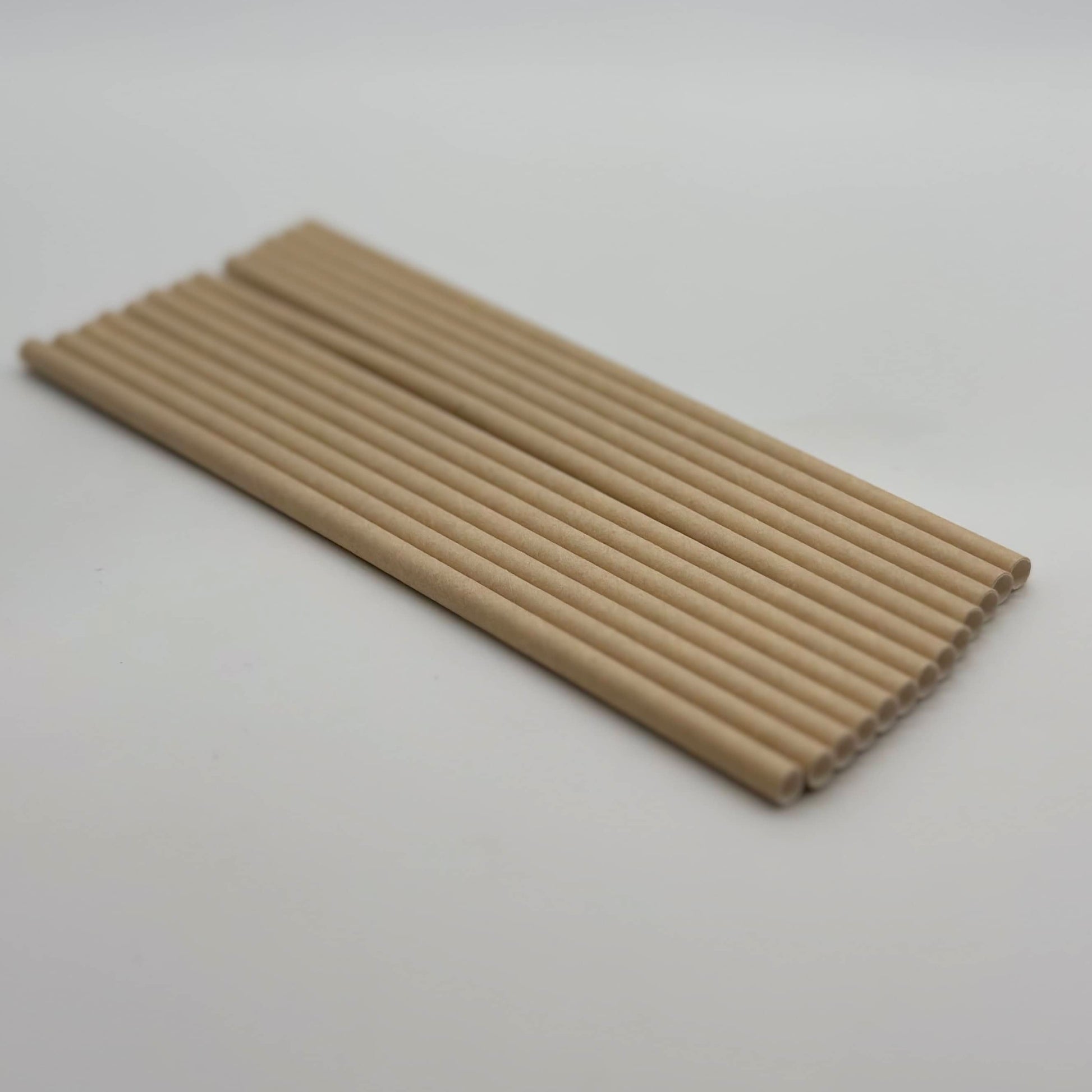 Paper Straw Kraft Set of 13