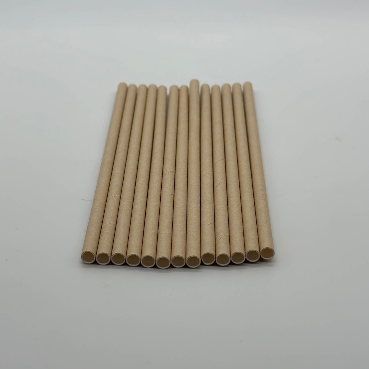 Paper Straw Kraft Set of 13