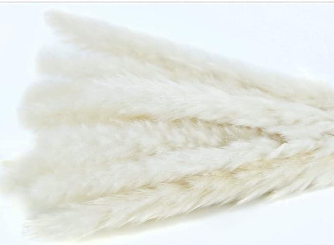 White Pampas Boho Flowers (1)